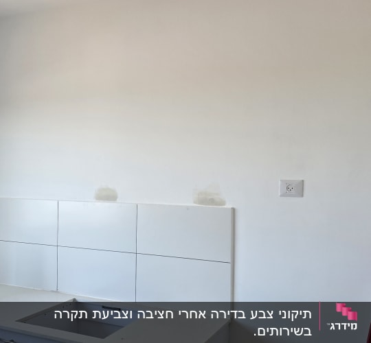 קיר צבוע עם ארונות מטבח וכיסא ירוק